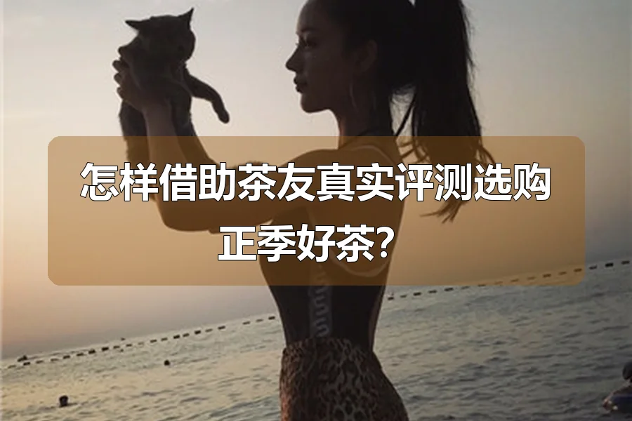 怎样借助茶友真实评测选购正季好茶？